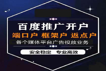网络推广竞价实战案例分析集